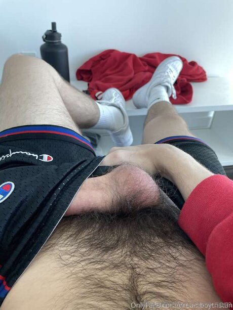 Tristan West porn star gallery