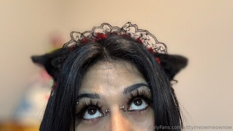 Kittymeowmeownow adult star pictures