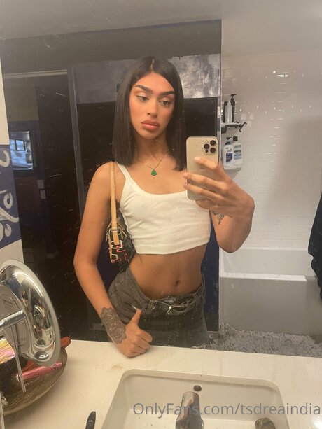 Tsdreaindia sex model image