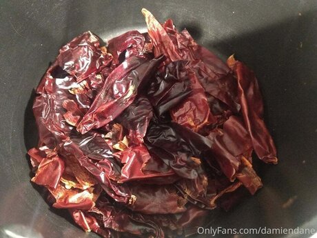 Damiendane pornographic actress galleries