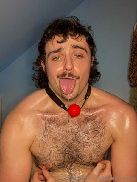 Goonersunny pornstar art img