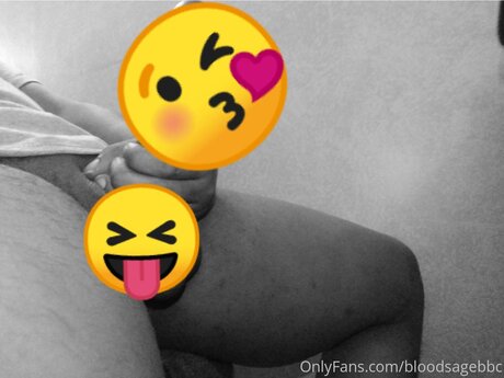 Bloodsagebbc best model gallery