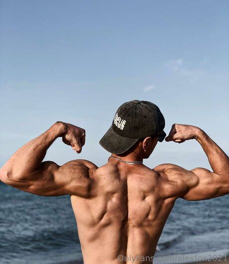 Alexfox2021 star high quality image