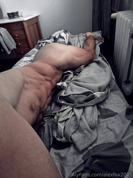 Alexfox2021 sexy model galleries