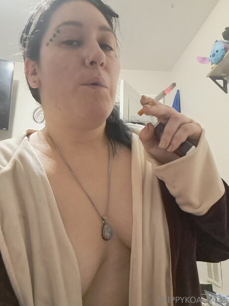 Trippykoala425 model art img