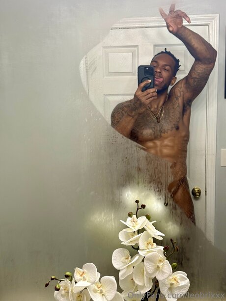 Leobrixxx pornstar art images