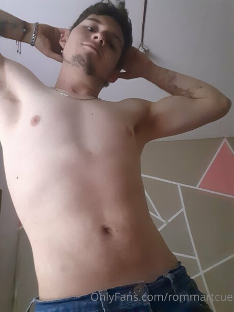 Rommartcue free model gallery