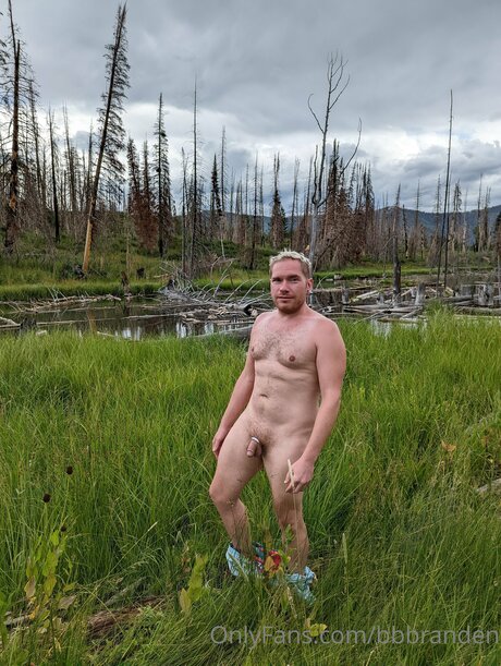 Bbbranden nice pornstar archive