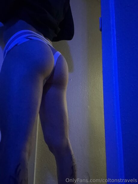 Coltonstravels high quality model archive