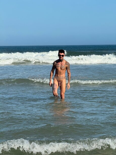 Scott Barberr star porn images