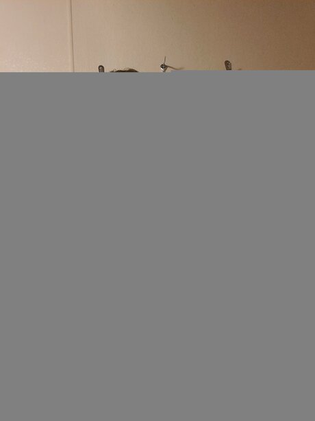 Lu Thebear69 nice actress image