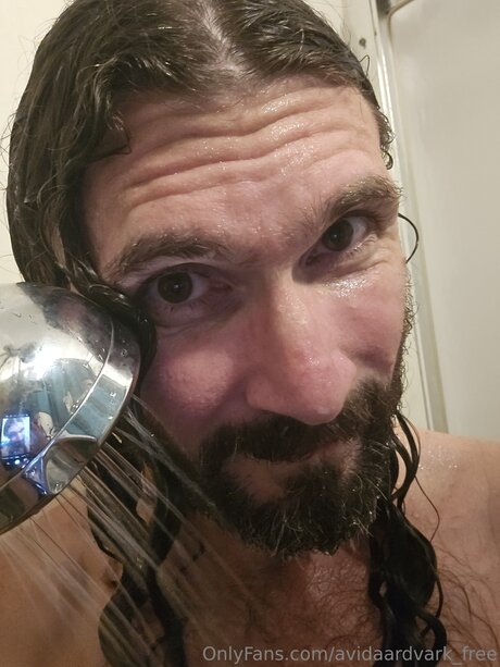 Avidaardvark Free pornstar adult pic