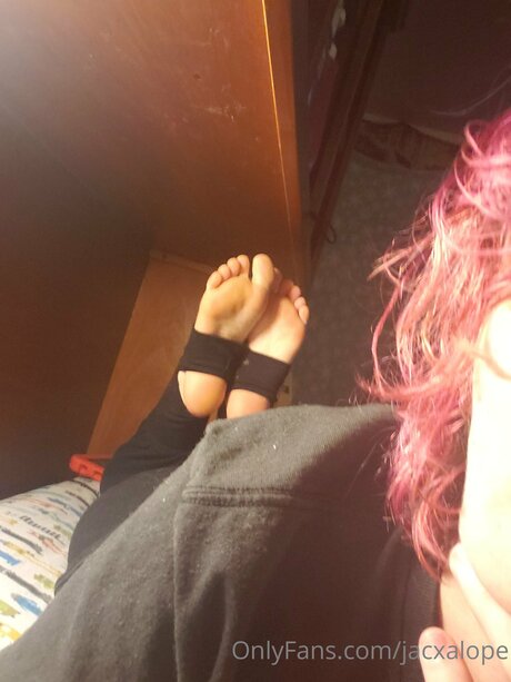 Jacxalope porn model image