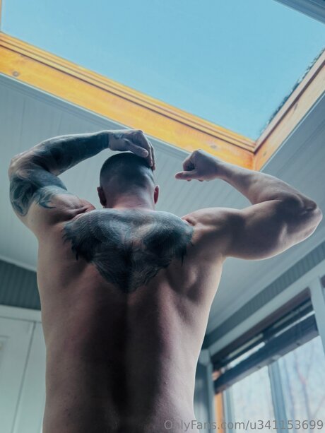 U341153699 top star archive