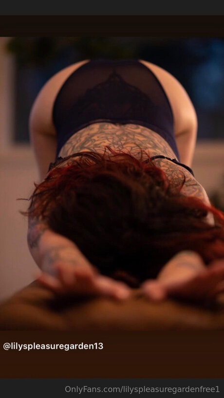 Lilyspleasuregardenfree1 art actress pictures