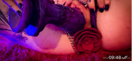 Coyemoo model hd archive