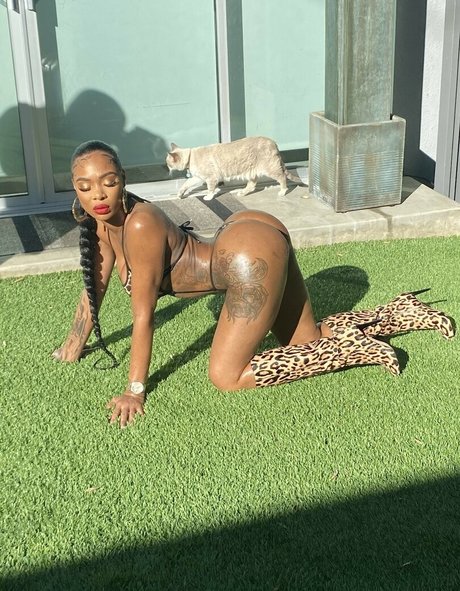 Shay brown porn model archive