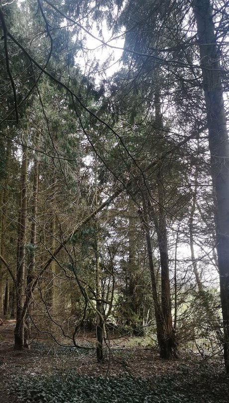 the kitty amore pornstar best galleries