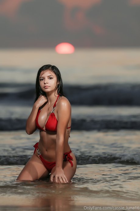 Cassie Luna adult actress images