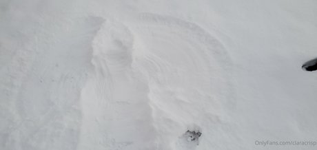 ClaraCrisp best model archive