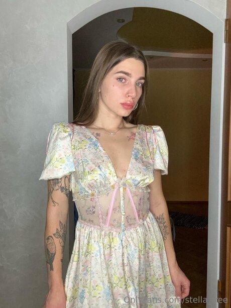 Stella Free free star galleries