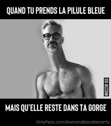 Diamondblondienorris sexy pornstar image