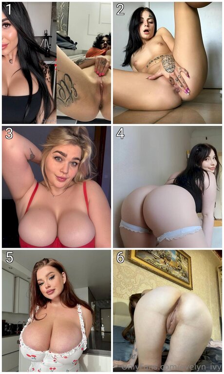 Evelyn Ivy pornstar top pictures