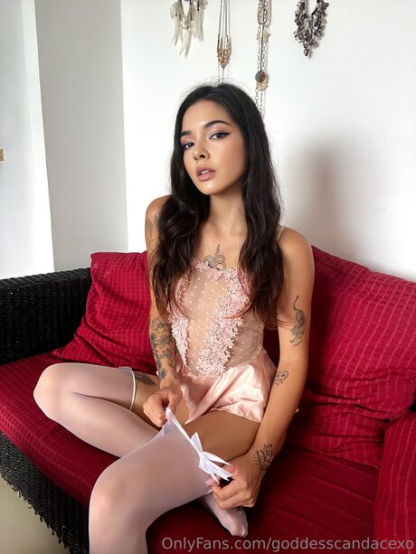 Goddesscandacexo naked pornstar archive