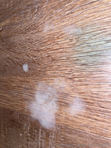 U347242840 pretty model img