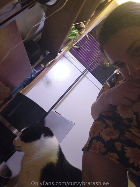 Curvybratashlee star pics