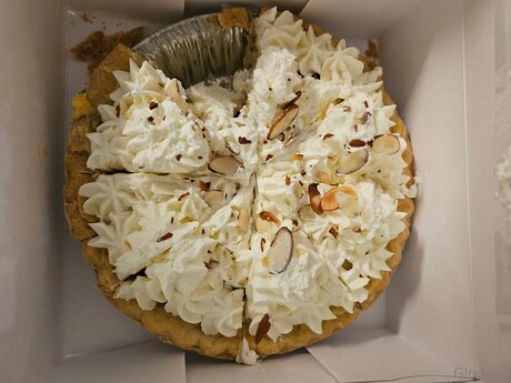 Glory4u pornstar top pic