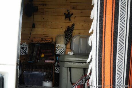 shemale interracial onlyfans beautiful naked images