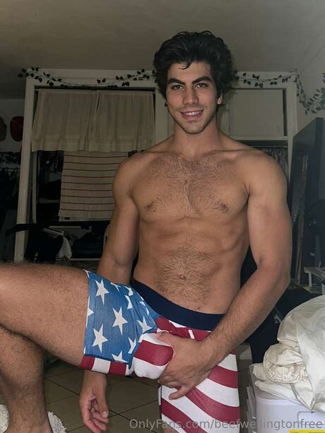 Beefwellingtonfree pretty model photo