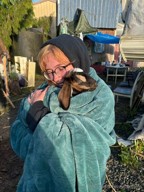 Certifiedsweetiepie nude model img