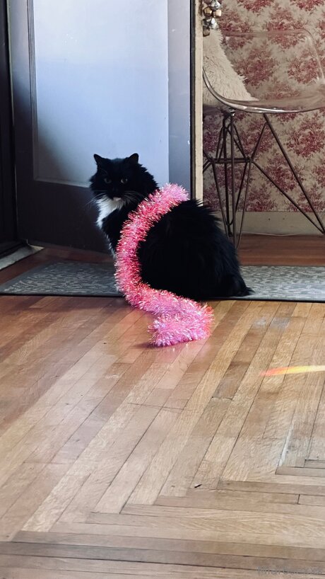 Miarosexxx model hd image