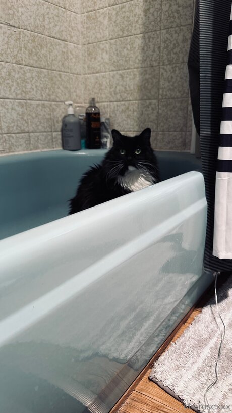 Miarosexxx adult star photo