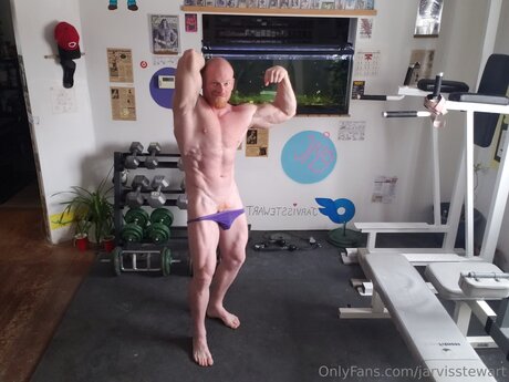 Jarvisstewart hd model images