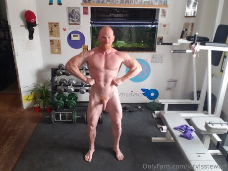 Jarvisstewart pretty pornstar gallery