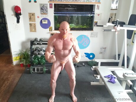 Jarvisstewart star xxx images