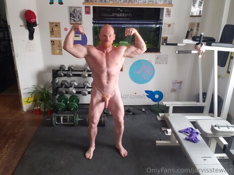 Jarvisstewart erotic star galleries