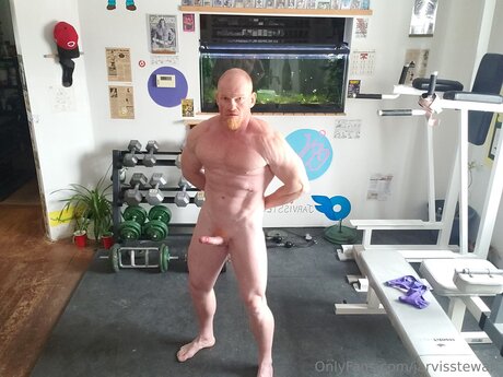 Jarvisstewart pornstar nice image