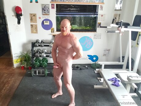 Jarvisstewart top pornstar galleries