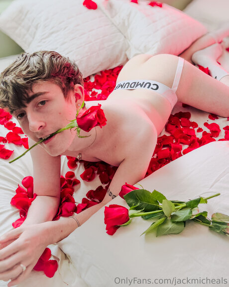 Jackmicheals sexy pornstar archive