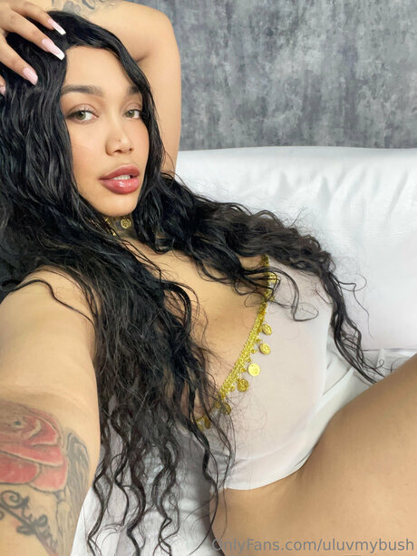 Uluvmybush high quality star img