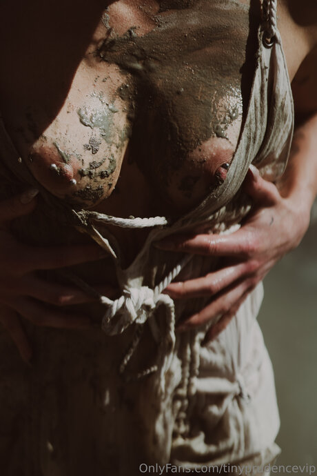 Tinyprudencevip model xxx image