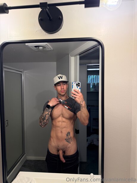 Evanlamicella star hot image