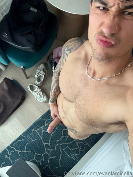 Evanlamicella pornographic star images