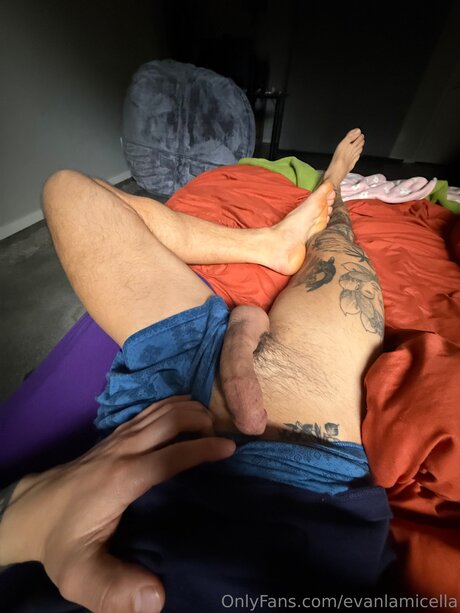 Evanlamicella star top galleries