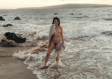 Claire Zeal naked pornstar img