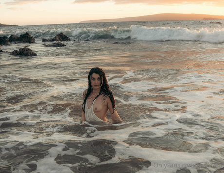 Claire Zeal porn star archive